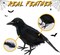 Halloween Skeleton Decorations- Skeleton Stakes with Crow for Outdoor Decoration, Scary Groundbreakers for Halloween Yard Lawn Decoration, Halloween Skull Decoration for Graveyard Decor